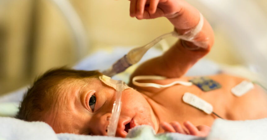 AdobeStock_141820489-scaled.jpeg